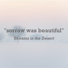 Sorrow was beautiful…