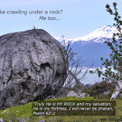 Let’s just go hide under a rock!