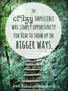 bridge-crazy-impossible