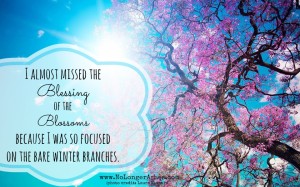 I almost missed the blessing of the blossoms because I was so focused on the bare winter branches. #NoLongerAshes