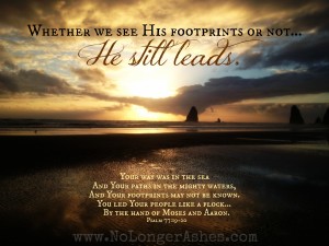 Whether we see His footprints or not... He leads. #NoLongerAshes #HeLeads