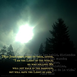 light-of-the-world www.NoLongerAshes.com